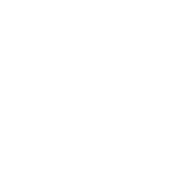 Cuscinetti radiali a sfera