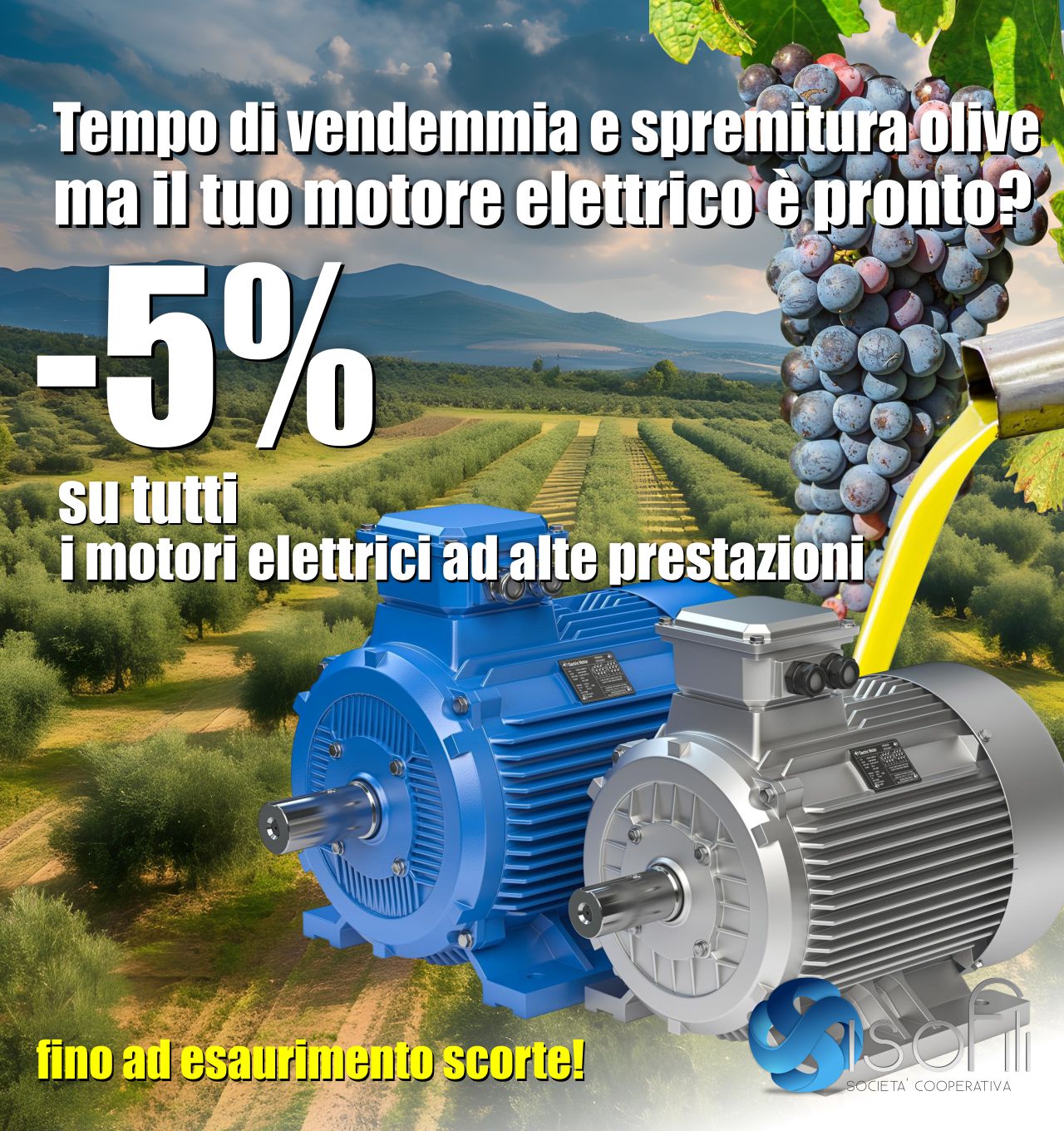 Vendemmia e spremitura olive, il tuo motore elettrico è pronto?