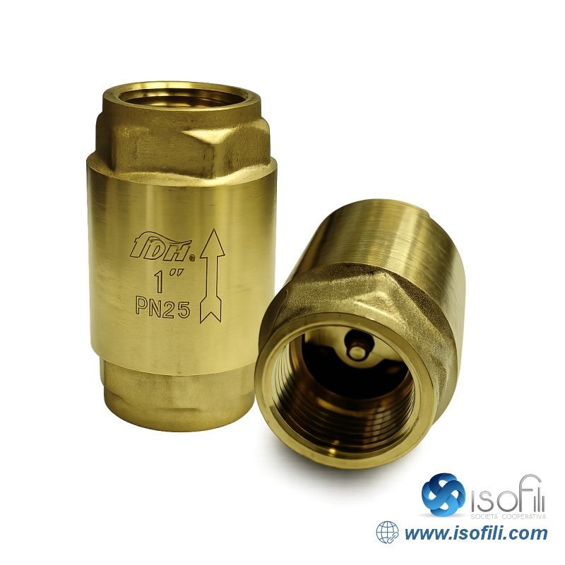 Valvola Di Non Ritorno 1 pollice In Ottone per acqua